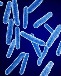 Foodborne Illnesses